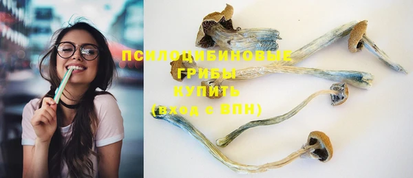 дурь Лиски