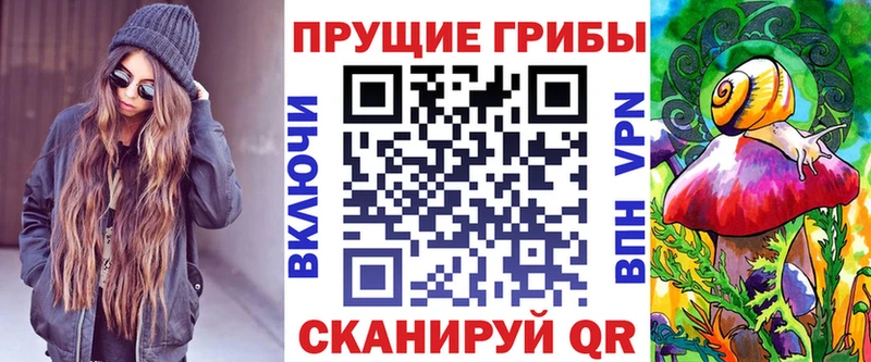 где купить наркоту  Пошехонье  Псилоцибиновые грибы прущие грибы 